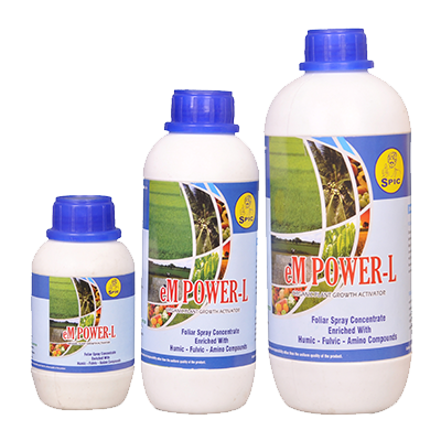 > </div>
<div class=